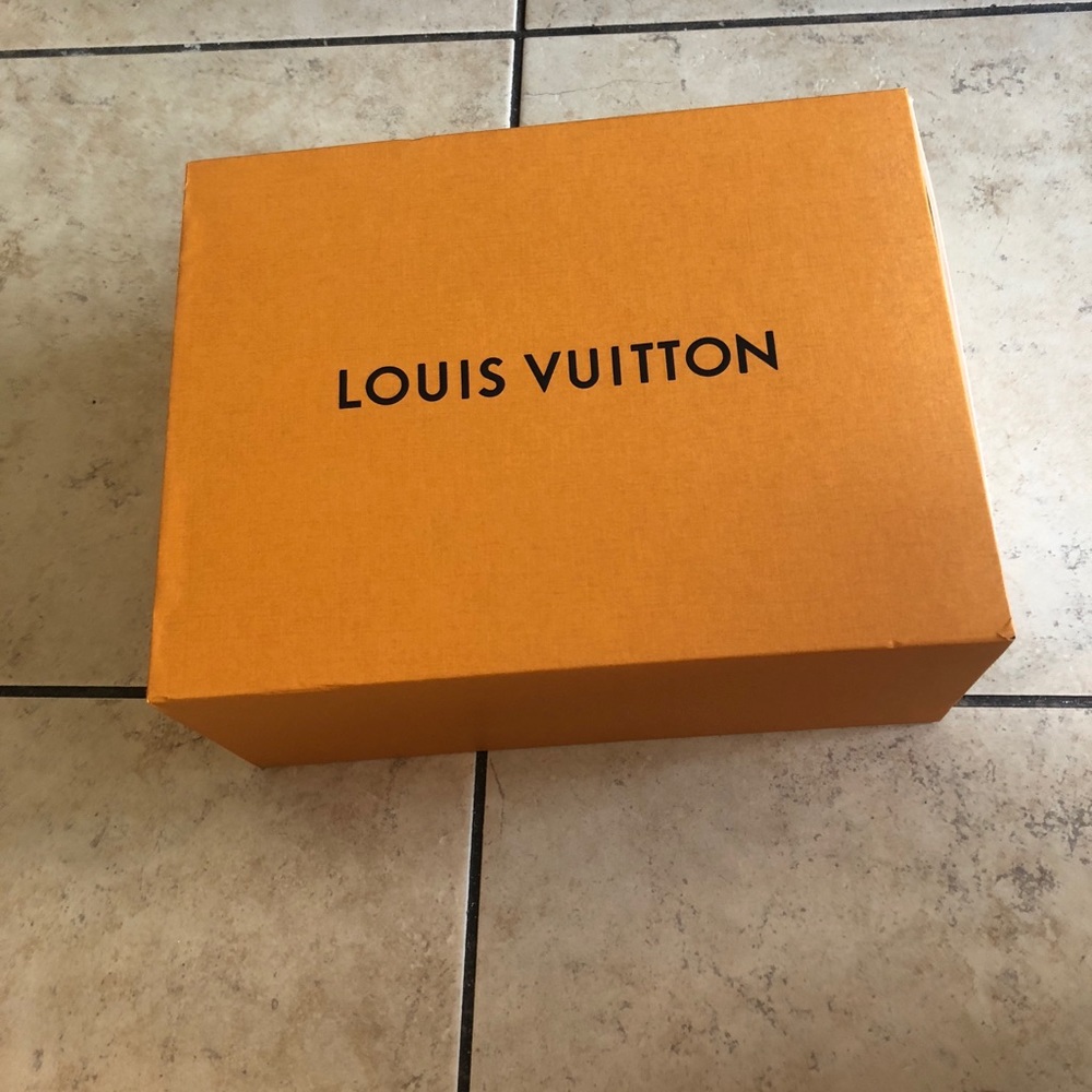 Large Louis Vuitton shoe box